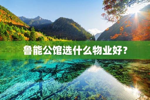 鲁能公馆选什么物业好？