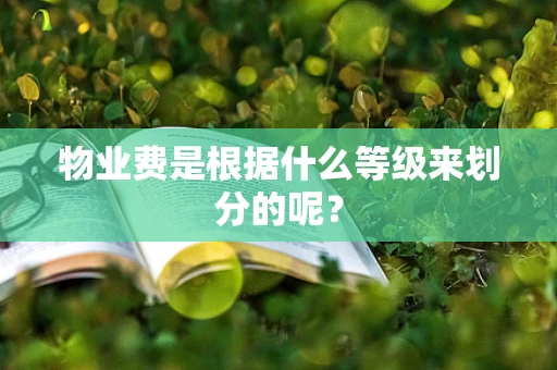 物业费是根据什么等级来划分的呢？