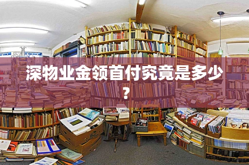 深物业金领首付究竟是多少？