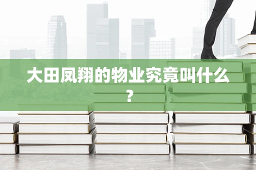 大田凤翔的物业究竟叫什么？
