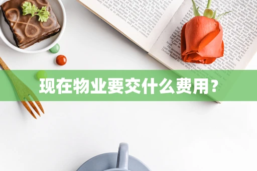 现在物业要交什么费用？