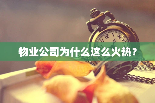 物业公司为什么这么火热？