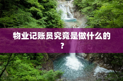 物业记账员究竟是做什么的？