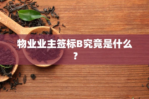 物业业主签标B究竟是什么？
