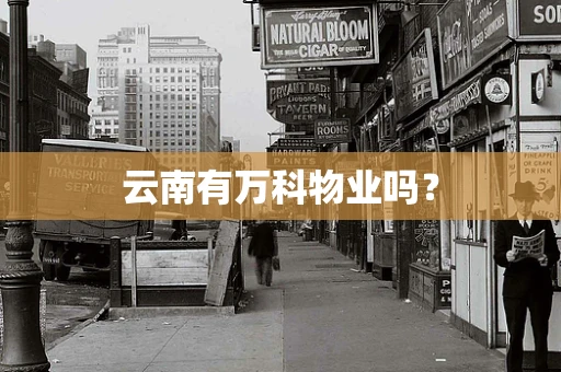 云南有万科物业吗？