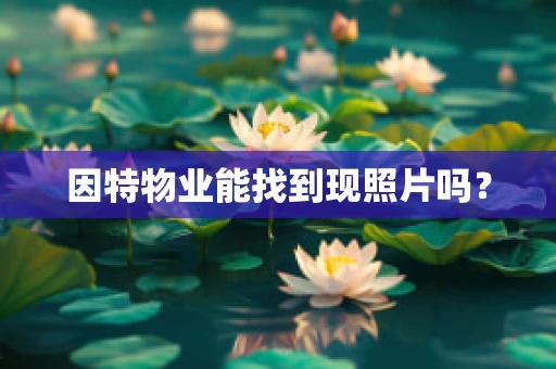 因特物业能找到现照片吗？