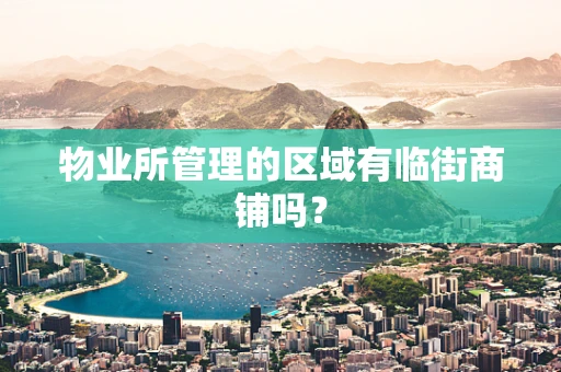 物业所管理的区域有临街商铺吗？
