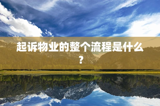 起诉物业的整个流程是什么？
