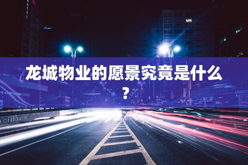 龙城物业的愿景究竟是什么？