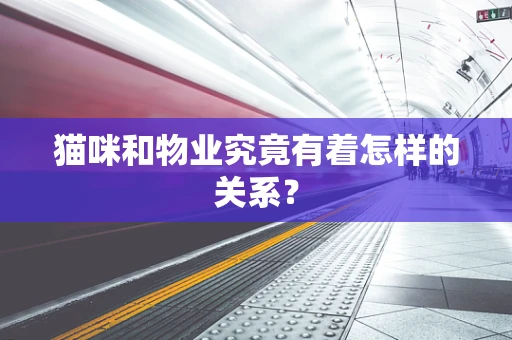 猫咪和物业究竟有着怎样的关系？