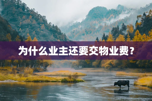 为什么业主还要交物业费？