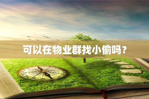 可以在物业群找小偷吗？