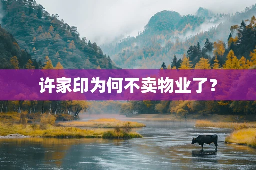 许家印为何不卖物业了？