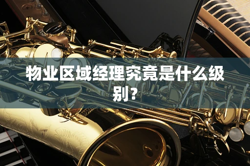 物业区域经理究竟是什么级别？