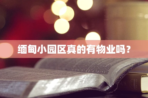 缅甸小园区真的有物业吗？