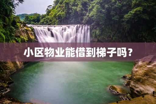 小区物业能借到梯子吗？