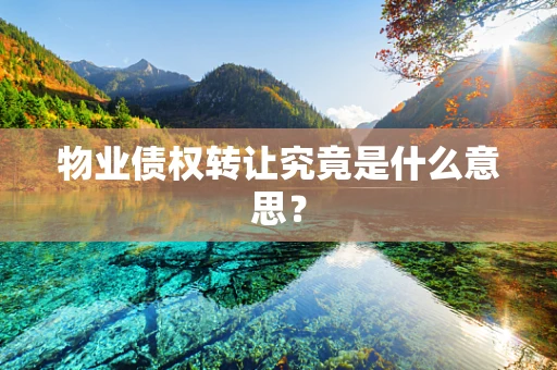 物业债权转让究竟是什么意思？