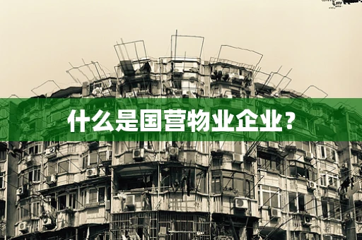 什么是国营物业企业？