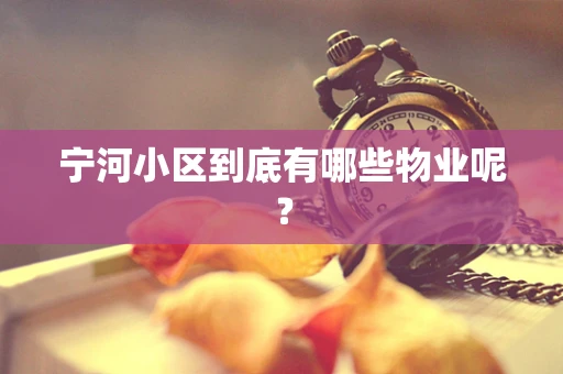 宁河小区到底有哪些物业呢？