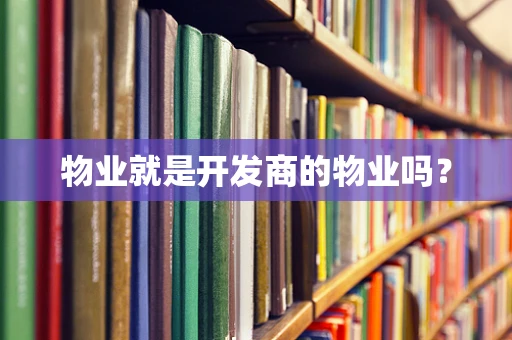 物业就是开发商的物业吗？