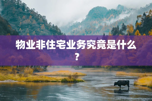 物业非住宅业务究竟是什么？