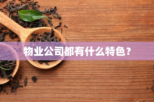 物业公司都有什么特色？