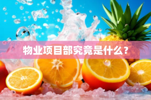 物业项目部究竟是什么？