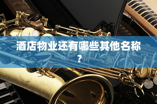 酒店物业还有哪些其他名称？