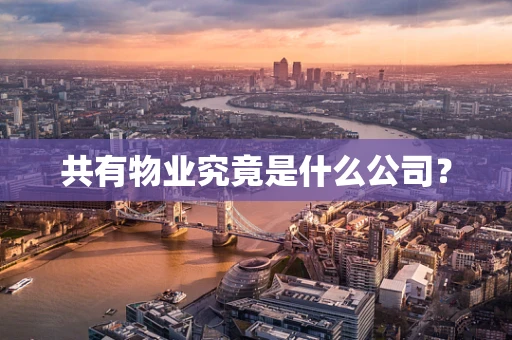 共有物业究竟是什么公司？