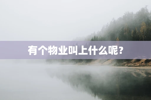 有个物业叫上什么呢？
