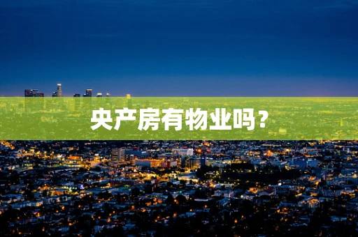 央产房有物业吗？