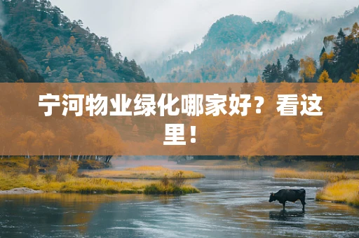 宁河物业绿化哪家好？看这里！