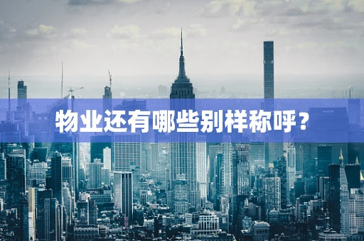 物业还有哪些别样称呼？