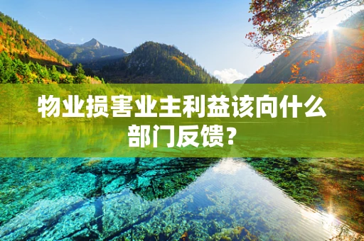 物业损害业主利益该向什么部门反馈？