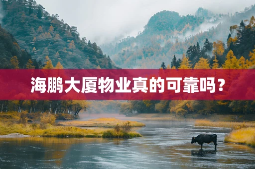 海鹏大厦物业真的可靠吗？