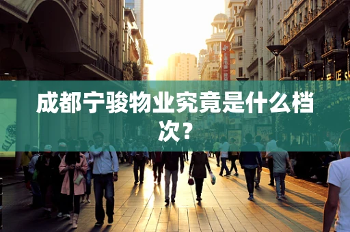 成都宁骏物业究竟是什么档次？