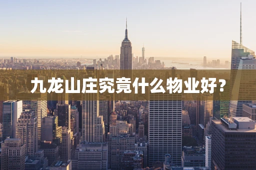 九龙山庄究竟什么物业好？