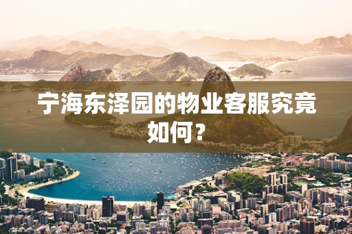 宁海东泽园的物业客服究竟如何？