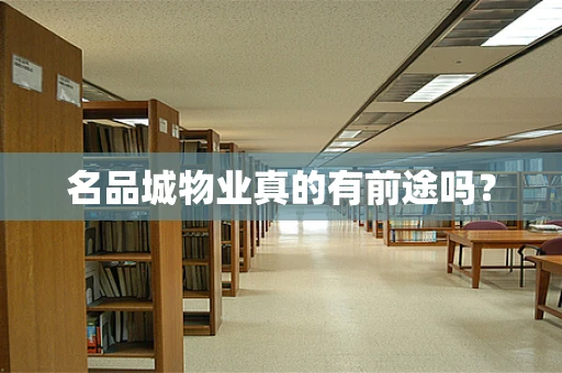 名品城物业真的有前途吗？
