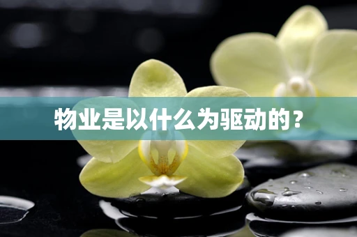 物业是以什么为驱动的？