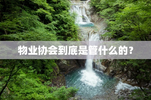 物业协会到底是管什么的？