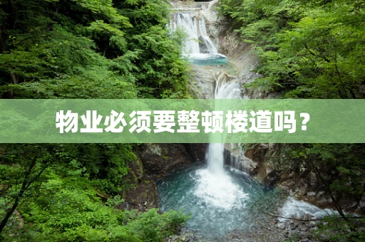 物业必须要整顿楼道吗？