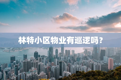 林特小区物业有巡逻吗？