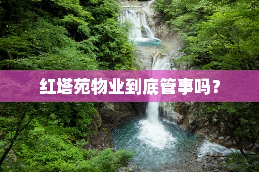 红塔苑物业到底管事吗？