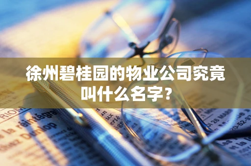徐州碧桂园的物业公司究竟叫什么名字？