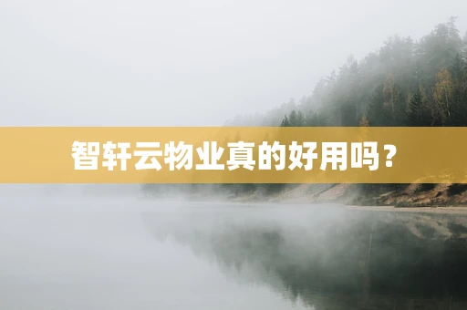 智轩云物业真的好用吗？