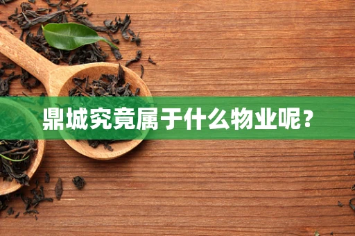 鼎城究竟属于什么物业呢？