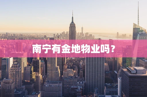 南宁有金地物业吗？