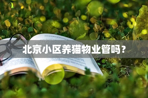 北京小区养猫物业管吗？