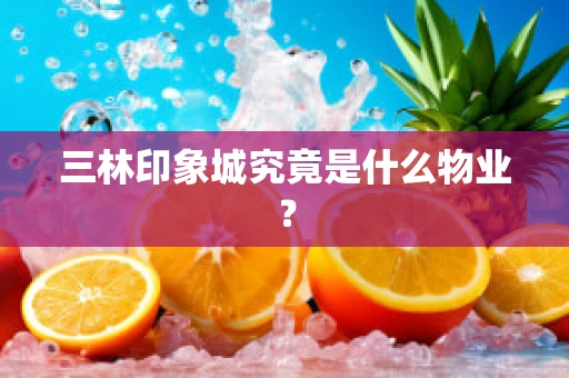 三林印象城究竟是什么物业？